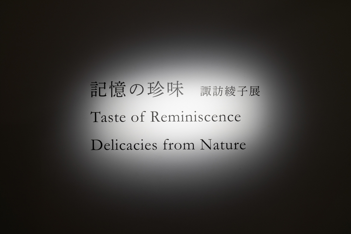 「記憶の珍味　諏訪綾子展」